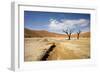 Dead Trees in Dead Vlei, Dead Trees with Red Dunes-null-Framed Photographic Print