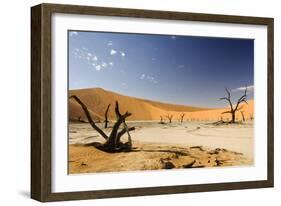 Dead Trees in Dead Vlei, Dead Trees with Red Dunes-null-Framed Photographic Print