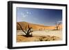 Dead Trees in Dead Vlei, Dead Trees with Red Dunes-null-Framed Photographic Print