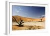 Dead Trees in Dead Vlei, Dead Trees with Red Dunes-null-Framed Photographic Print