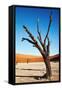 Dead Trees in Dead Vlei - Sossusvlei, Namib Desert, Namibia.-DmitryP-Framed Stretched Canvas