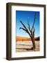 Dead Trees in Dead Vlei - Sossusvlei, Namib Desert, Namibia.-DmitryP-Framed Photographic Print