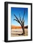 Dead Trees in Dead Vlei - Sossusvlei, Namib Desert, Namibia.-DmitryP-Framed Photographic Print