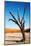 Dead Trees in Dead Vlei - Sossusvlei, Namib Desert, Namibia.-DmitryP-Mounted Photographic Print