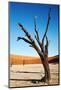 Dead Trees in Dead Vlei - Sossusvlei, Namib Desert, Namibia.-DmitryP-Mounted Photographic Print