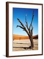 Dead Trees in Dead Vlei - Sossusvlei, Namib Desert, Namibia.-DmitryP-Framed Photographic Print