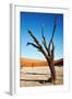Dead Trees in Dead Vlei - Sossusvlei, Namib Desert, Namibia.-DmitryP-Framed Photographic Print
