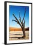 Dead Trees in Dead Vlei - Sossusvlei, Namib Desert, Namibia.-DmitryP-Framed Photographic Print