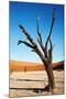 Dead Trees in Dead Vlei - Sossusvlei, Namib Desert, Namibia.-DmitryP-Mounted Photographic Print