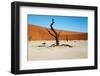 Dead Trees in Dead Vlei - Sossusvlei, Namib Desert, Namibia.-DmitryP-Framed Photographic Print