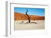 Dead Trees in Dead Vlei - Sossusvlei, Namib Desert, Namibia.-DmitryP-Framed Photographic Print