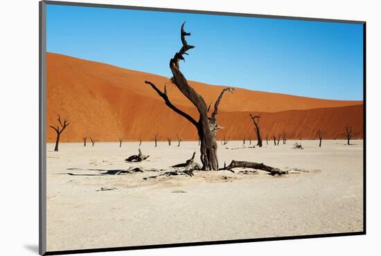 Dead Trees in Dead Vlei - Sossusvlei, Namib Desert, Namibia.-DmitryP-Mounted Photographic Print