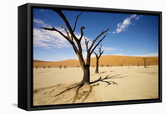 Dead Trees in Dead Vlei-null-Framed Stretched Canvas