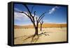 Dead Trees in Dead Vlei-null-Framed Stretched Canvas