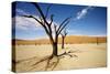 Dead Trees in Dead Vlei-null-Stretched Canvas