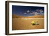 Dead Trees in Dead Vlei-null-Framed Photographic Print