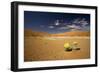 Dead Trees in Dead Vlei-null-Framed Photographic Print