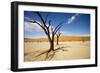 Dead Trees in Dead Vlei-null-Framed Photographic Print