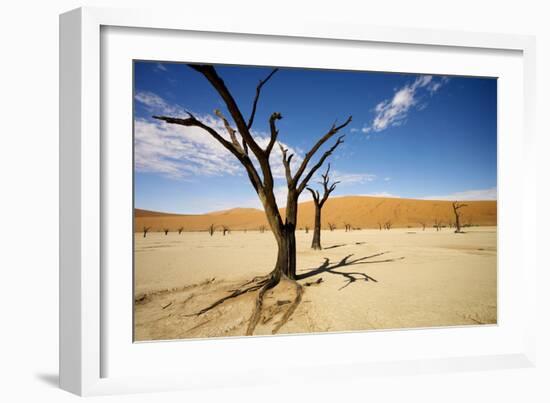 Dead Trees in Dead Vlei-null-Framed Photographic Print