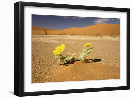 Dead Trees in Dead Vlei-null-Framed Photographic Print