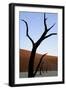 Dead Trees In Deadvlei Clay Pan, Sossusvlei. Namib-Naukluft National Park, Namibia, September 2013-Enrique Lopez-Tapia-Framed Photographic Print