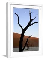 Dead Trees In Deadvlei Clay Pan, Sossusvlei. Namib-Naukluft National Park, Namibia, September 2013-Enrique Lopez-Tapia-Framed Photographic Print