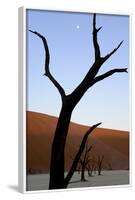 Dead Trees In Deadvlei Clay Pan, Sossusvlei. Namib-Naukluft National Park, Namibia, September 2013-Enrique Lopez-Tapia-Framed Photographic Print