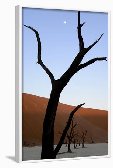 Dead Trees In Deadvlei Clay Pan, Sossusvlei. Namib-Naukluft National Park, Namibia, September 2013-Enrique Lopez-Tapia-Framed Photographic Print