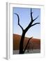 Dead Trees In Deadvlei Clay Pan, Sossusvlei. Namib-Naukluft National Park, Namibia, September 2013-Enrique Lopez-Tapia-Framed Photographic Print