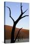 Dead Trees In Deadvlei Clay Pan, Sossusvlei. Namib-Naukluft National Park, Namibia, September 2013-Enrique Lopez-Tapia-Stretched Canvas