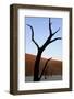 Dead Trees In Deadvlei Clay Pan, Sossusvlei. Namib-Naukluft National Park, Namibia, September 2013-Enrique Lopez-Tapia-Framed Photographic Print