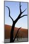 Dead Trees In Deadvlei Clay Pan, Sossusvlei. Namib-Naukluft National Park, Namibia, September 2013-Enrique Lopez-Tapia-Mounted Photographic Print