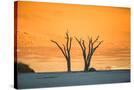 Stretched Canvas