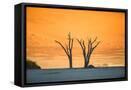 Canvas Black