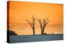 Stretched Canvas