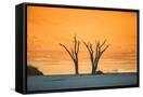 Canvas Black