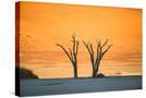 Stretched Canvas