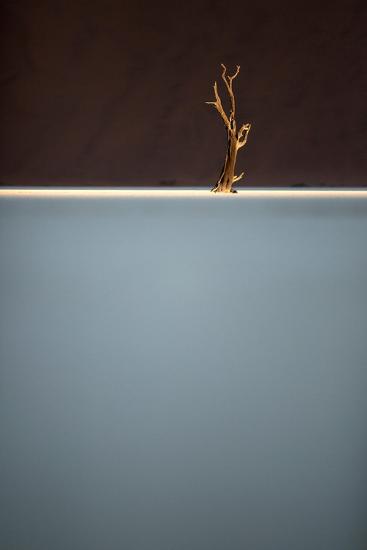 Photo, , large
