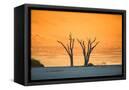 Canvas Black