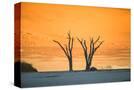 Stretched Canvas