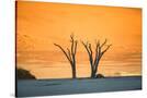 Stretched Canvas