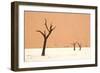 Dead trees in desert clay pan, Deadvlei, Namib-Naukluft , Namib Desert-Andrew Linscott-Framed Photographic Print