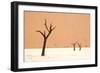 Dead trees in desert clay pan, Deadvlei, Namib-Naukluft , Namib Desert-Andrew Linscott-Framed Photographic Print