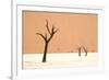 Dead trees in desert clay pan, Deadvlei, Namib-Naukluft , Namib Desert-Andrew Linscott-Framed Photographic Print