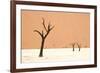 Dead trees in desert clay pan, Deadvlei, Namib-Naukluft , Namib Desert-Andrew Linscott-Framed Photographic Print