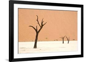 Dead trees in desert clay pan, Deadvlei, Namib-Naukluft , Namib Desert-Andrew Linscott-Framed Photographic Print