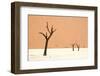 Dead trees in desert clay pan, Deadvlei, Namib-Naukluft , Namib Desert-Andrew Linscott-Framed Photographic Print