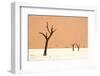 Dead trees in desert clay pan, Deadvlei, Namib-Naukluft , Namib Desert-Andrew Linscott-Framed Photographic Print