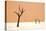 Dead trees in desert clay pan, Deadvlei, Namib-Naukluft , Namib Desert-Andrew Linscott-Stretched Canvas