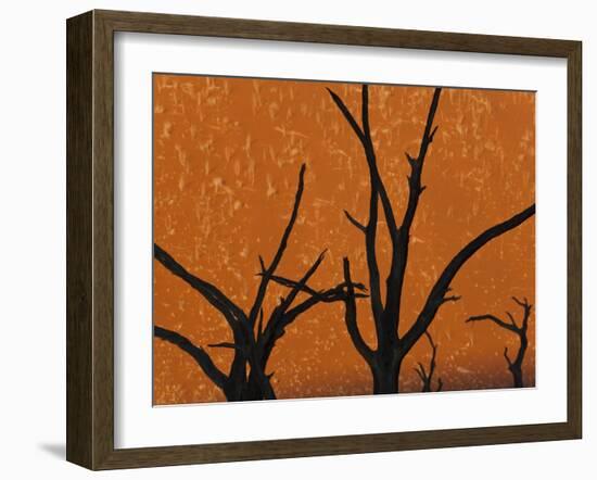 Dead Trees in Dry Clay Pan, Dead Vlei, Soussusvlei, Namibia, Africa-Peter Adams-Framed Photographic Print